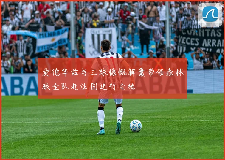 爱德华兹与三球慷慨解囊带领森林狼全队赴法国进行合练