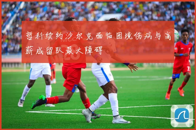 哲科续约沙尔克面临困境伤病与高薪成留队最大障碍